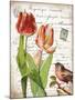 French Botanical II-Gwendolyn Babbitt-Mounted Art Print