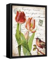 French Botanical II-Gwendolyn Babbitt-Framed Stretched Canvas