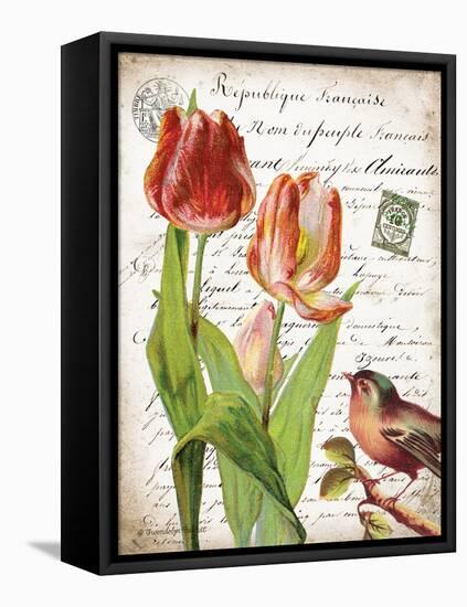 French Botanical II-Gwendolyn Babbitt-Framed Stretched Canvas