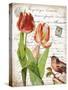 French Botanical II-Gwendolyn Babbitt-Stretched Canvas