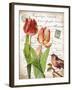 French Botanical II-Gwendolyn Babbitt-Framed Art Print