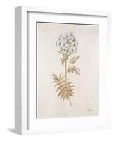 French Botanicals VI-Rikki Drotar-Framed Giclee Print