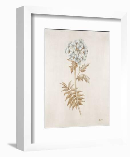 French Botanicals VI-Rikki Drotar-Framed Giclee Print