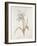 French Botanicals VIII-Rikki Drotar-Framed Giclee Print