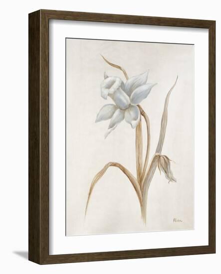 French Botanicals VIII-Rikki Drotar-Framed Giclee Print