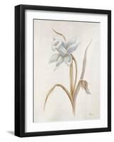 French Botanicals VIII-Rikki Drotar-Framed Giclee Print