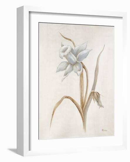 French Botanicals VIII-Rikki Drotar-Framed Giclee Print