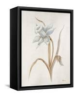 French Botanicals VIII-Rikki Drotar-Framed Stretched Canvas