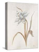 French Botanicals VIII-Rikki Drotar-Stretched Canvas