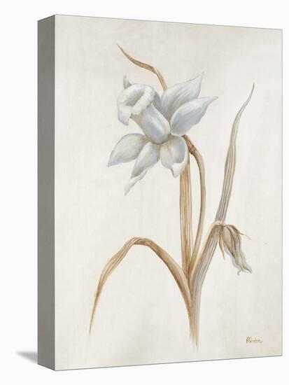 French Botanicals VIII-Rikki Drotar-Stretched Canvas