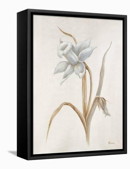 French Botanicals VIII-Rikki Drotar-Framed Stretched Canvas