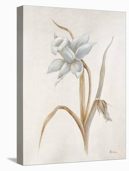 French Botanicals VIII-Rikki Drotar-Stretched Canvas