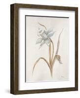French Botanicals VIII-Rikki Drotar-Framed Giclee Print