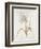 French Botanicals VIII-Rikki Drotar-Framed Giclee Print