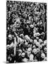 French Boxer Georges Carpentier Arriving in London, July 1914-null-Mounted Photo