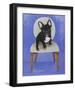 French Bull Dog-Carol Dillon-Framed Art Print