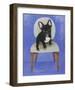 French Bull Dog-Carol Dillon-Framed Art Print