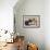 French Bulldog 06-Bob Langrish-Framed Photographic Print displayed on a wall
