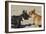 French Bulldog 06-Bob Langrish-Framed Photographic Print