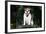 French Bulldog 43-Bob Langrish-Framed Photographic Print