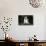 French Bulldog 43-Bob Langrish-Mounted Photographic Print displayed on a wall