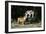 French Bulldog 47-Bob Langrish-Framed Photographic Print