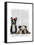 French Bulldog and English Bulldog-Fab Funky-Framed Stretched Canvas