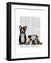 French Bulldog and English Bulldog-Fab Funky-Framed Art Print