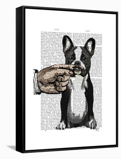 French Bulldog and Finger Moustache-Fab Funky-Framed Stretched Canvas