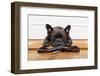 French Bulldog Dog Waiting and Begging to Go for a Walk with Owner , Sitting or Lying on Doormat-Javier Brosch-Framed Photographic Print