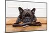 French Bulldog Dog Waiting and Begging to Go for a Walk with Owner , Sitting or Lying on Doormat-Javier Brosch-Mounted Photographic Print