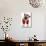 French Bulldog Dressed as Father Christmas-null-Stretched Canvas displayed on a wall