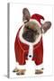 French Bulldog Dressed as Father Christmas-null-Stretched Canvas