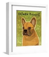 French Bulldog (Fawn)-John W^ Golden-Framed Art Print