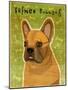 French Bulldog Fawn-John W Golden-Mounted Giclee Print