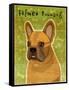 French Bulldog Fawn-John W Golden-Framed Stretched Canvas