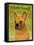 French Bulldog Fawn-John W Golden-Framed Stretched Canvas