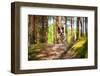French Bulldog in the Forest-Patryk Kosmider-Framed Photographic Print