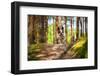 French Bulldog in the Forest-Patryk Kosmider-Framed Photographic Print