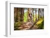 French Bulldog in the Forest-Patryk Kosmider-Framed Photographic Print