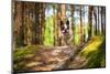 French Bulldog in the Forest-Patryk Kosmider-Mounted Photographic Print