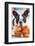 French Bulldog Lying down with His Teddy Bear-Patryk Kosmider-Framed Photographic Print