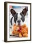 French Bulldog Lying down with His Teddy Bear-Patryk Kosmider-Framed Photographic Print