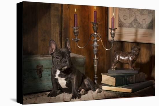 French Bulldog Next to Bronze of Dog and Candlesticks-null-Stretched Canvas