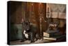 French Bulldog Next to Bronze of Dog and Candlesticks-null-Stretched Canvas
