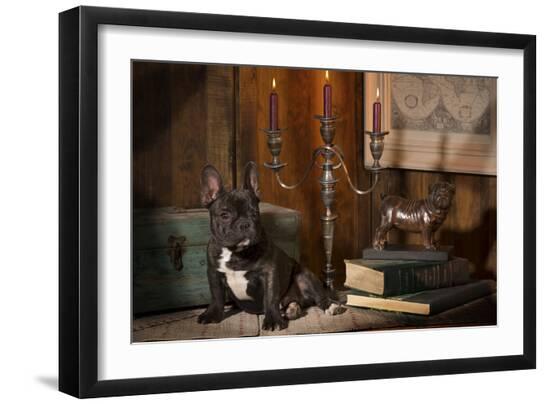 Photographic Print, , large