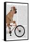 French Bulldog on Bicycle-Fab Funky-Framed Stretched Canvas