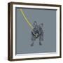 French Bulldog on Grey-Dominique Vari-Framed Art Print