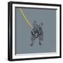 French Bulldog on Grey-Dominique Vari-Framed Art Print