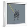 French Bulldog on Grey-Dominique Vari-Framed Art Print